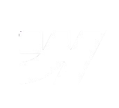 Webflow's Logo